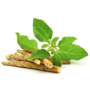 amazing benefits of ashwagandha